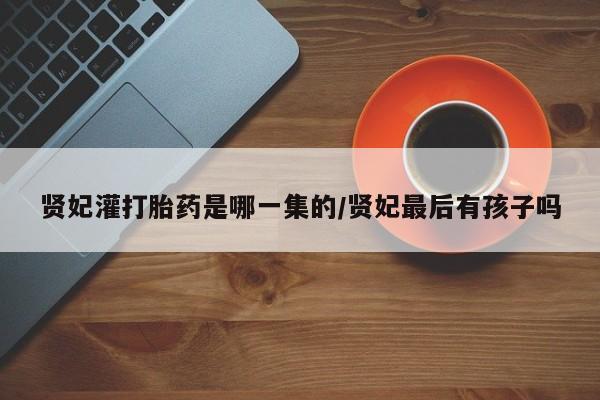 堕胎药贤妃灌打胎药是哪一集的/贤妃最后有孩子吗